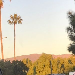 Meet your Posher, Monique